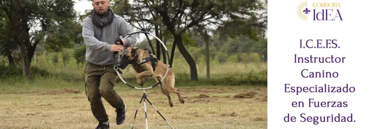 Instructor con su perro haciendo un ejercicio de salto